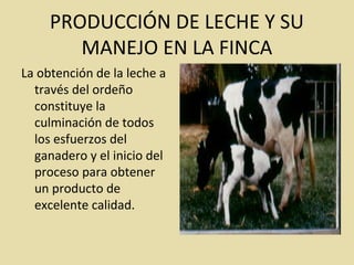 PRODUCCIÓN DE LECHE Y SU
MANEJO EN LA FINCA
La obtención de la leche a
través del ordeño
constituye la
culminación de todos
los esfuerzos del
ganadero y el inicio del
proceso para obtener
un producto de
excelente calidad.
 