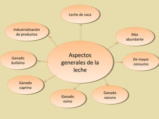 .
Aspectos
generales de la
leche
Aspectos
generales de la
leche
Leche de vacaLeche de vaca
Mas
abundante
Mas
abundante
De mayor
consumo
De mayor
consumo
Ganado
vacuno
Ganado
vacunoGanado
ovino
Ganado
ovino
Ganado
caprino
Ganado
caprino
Ganado
bufalino
Ganado
bufalino
Industrialización
de productos
Industrialización
de productos
 