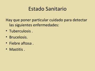 Estado Sanitario
Hay que poner particular cuidado para detectar
las siguientes enfermedades:
• Tuberculosis .
• Brucelosis.
• Fiebre aftosa .
• Mastitis .
 