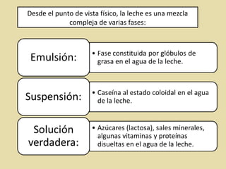 Desde el punto de vista físico, la leche es una mezcla
compleja de varias fases:
 