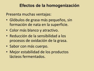 Presenta muchas ventajas:
• Glóbulos de grasa más pequeños, sin
formación de nata en la superficie.
• Color más blanco y atractivo.
• Reducción de la sensibilidad a los
procesos de oxidación de la grasa.
• Sabor con más cuerpo.
• Mejor estabilidad de los productos
lácteos fermentados.
Efectos de la homogenización
 