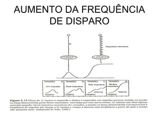 AUMENTO DA FREQUÊNCIA
     DE DISPARO
 