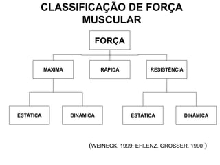 CLASSIFICAÇÃO DE FORÇA
              MUSCULAR
                           FORÇA


           MÁXIMA              RÁPIDA         RESISTÊNCIA




ESTÁTICA            DINÂMICA            ESTÁTICA            DINÂMICA




                          (WEINECK, 1999; EHLENZ, GROSSER, 1990 )
 
