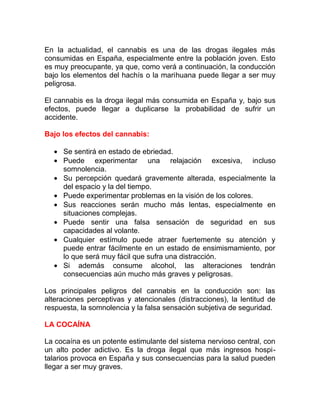 En la actualidad, el cannabis es una de las drogas ilegales más
consumidas en España, especialmente entre la población joven. Esto
es muy preocupante, ya que, como verá a continuación, la conducción
bajo los elementos del hachís o la marihuana puede llegar a ser muy
peligrosa.
El cannabis es la droga ilegal más consumida en España y, bajo sus
efectos, puede llegar a duplicarse la probabilidad de sufrir un
accidente.
Bajo los efectos del cannabis:
• Se sentirá en estado de ebriedad.
• Puede experimentar una relajación excesiva, incluso
somnolencia.
• Su percepción quedará gravemente alterada, especialmente la
del espacio y la del tiempo.
• Puede experimentar problemas en la visión de los colores.
• Sus reacciones serán mucho más lentas, especialmente en
situaciones complejas.
• Puede sentir una falsa sensación de seguridad en sus
capacidades al volante.
• Cualquier estímulo puede atraer fuertemente su atención y
puede entrar fácilmente en un estado de ensimismamiento, por
lo que será muy fácil que sufra una distracción.
• Si además consume alcohol, las alteraciones tendrán
consecuencias aún mucho más graves y peligrosas.
Los principales peligros del cannabis en la conducción son: las
alteraciones perceptivas y atencionales (distracciones), la lentitud de
respuesta, la somnolencia y la falsa sensación subjetiva de seguridad.
LA COCAÍNA
La cocaína es un potente estimulante del sistema nervioso central, con
un alto poder adictivo. Es la droga ilegal que más ingresos hospitalarios provoca en España y sus consecuencias para la salud pueden
llegar a ser muy graves.

 