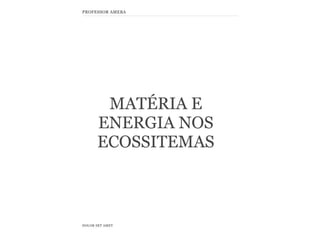 PROFESSOR AMEBA

MATÉRIA E
ENERGIA NOS
ECOSSITEMAS

DOLOR SET AMET

 
