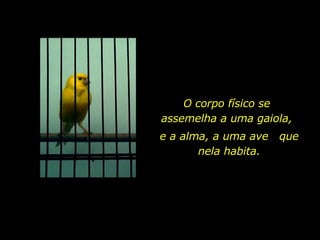 O corpo físico se assemelha a uma gaiola, e a alma, a uma ave  que nela habita. 