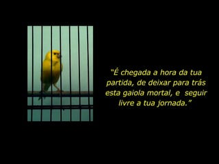 “ É chegada a hora da tua partida, de deixar para trás esta gaiola mortal, e  seguir livre a tua jornada.”  