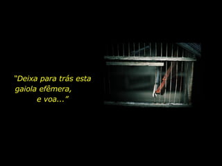 “ Deixa para trás esta gaiola efêmera,  e voa...” 