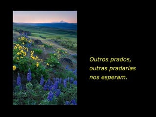 Outros prados, outras pradarias  nos esperam.  
