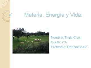 Materia, Energía y Vida:



           Nombre: Thais Cruz
           Curso: 7ºA
           Profesora: Ortencia Soto
 