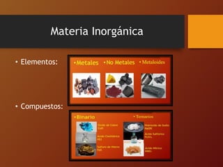Materia Inorgánica
• Elementos:
• Compuestos:
 