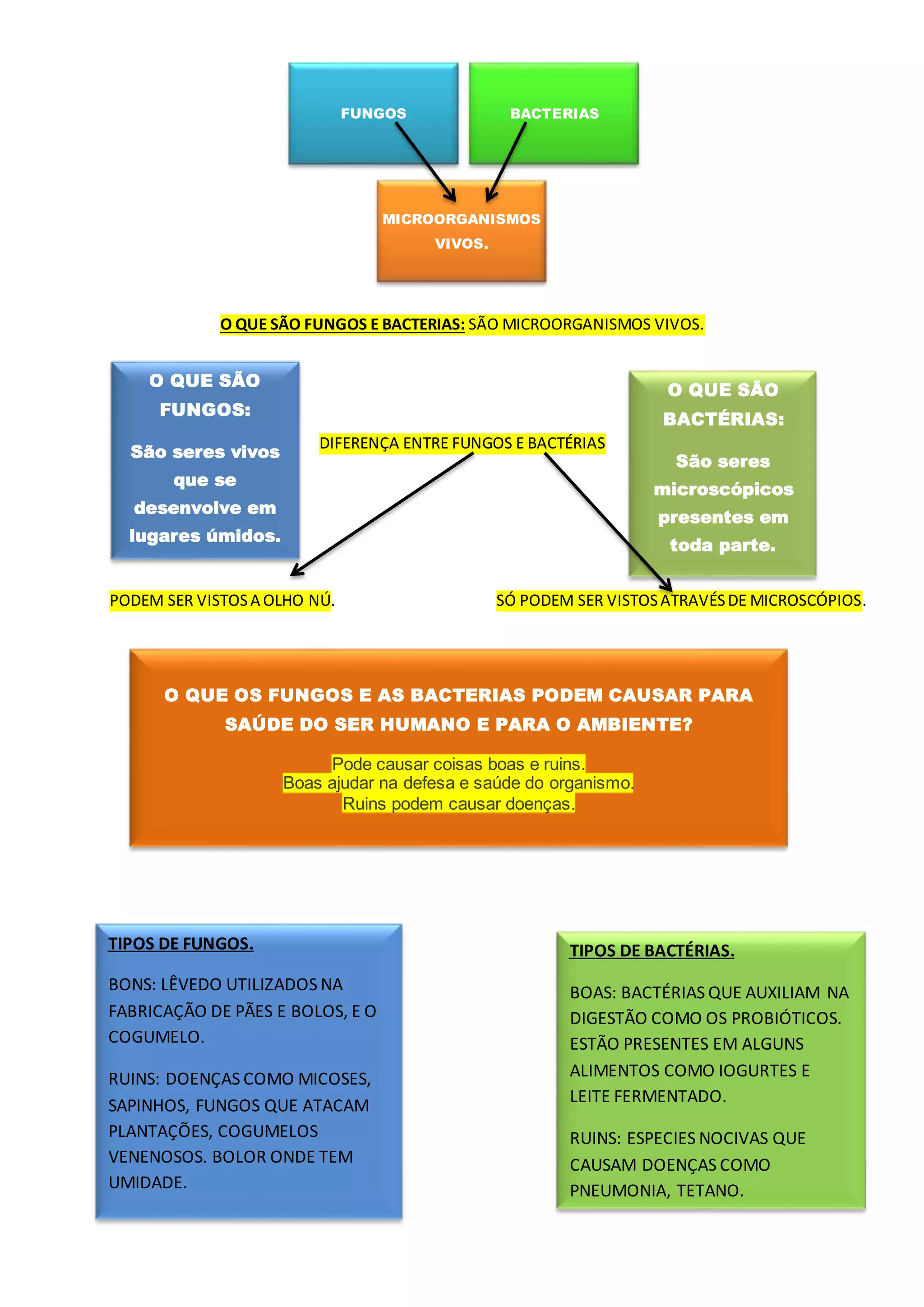 Matéria sobre fungos e bacterias 3 ano. Resumo. | PDF