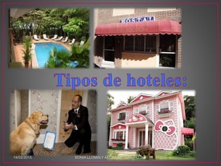 14/02/2015 SONIA LLOMALY ALCARAZ GRUPO 202
 