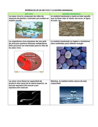 DIFERENCIAS DE UN SER VIVO Y LA MATERIA INANIMADA.
SER VIVO MATERIA INANIMADA
Los seres vivos lo componen las miles de
especies de plantas y animales que existen en
nuestro mundo.
La materia inanimada o inerte es todo aquello
que no tiene vida: el viento, las rocas, el agua,
el suelo, etc.
Los organismos vivos requieren de una serie
de procesos químicos llamado metabolismo,
Estos procesos son esenciales para la vida de
los seres vivos.
La materia inanimada no ingiere o transforma
otros materiales para obtener energía
Los seres vivos tienen la capacidad de
producir otros seres de la misma especie, ya
sea por reproducción sexual o por
reproducción asexual.
Mientras, la materia inerte carece de esta
capacidad.
 