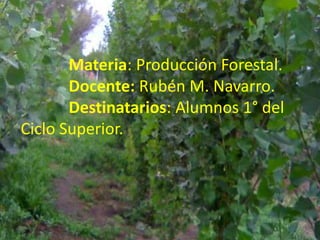             Materia: Producción Forestal.Docente: Rubén M. Navarro.Destinatarios: Alumnos 1° del                                                            Ciclo Superior. 