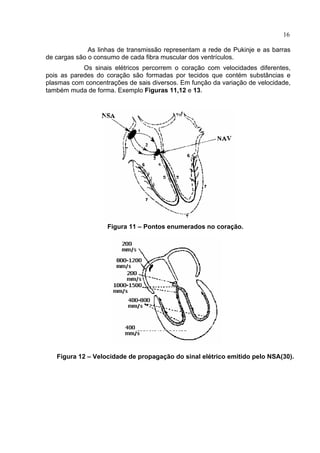 16
As linhas de transmissão representam a rede de Pukinje e as barras
de cargas são o consumo de cada fibra muscular dos ventrículos.
Os sinais elétricos percorrem o coração com velocidades diferentes,
pois as paredes do coração são formadas por tecidos que contém substâncias e
plasmas com concentrações de sais diversos. Em função da variação de velocidade,
também muda de forma. Exemplo Figuras 11,12 e 13.
Figura 11 – Pontos enumerados no coração.
Figura 12 – Velocidade de propagação do sinal elétrico emitido pelo NSA(30).
 