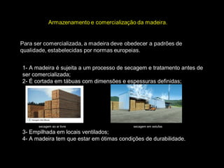 1- A madeira é sujeita a um processo de secagem e tratamento antes de
ser comercializada;
2- É cortada em tábuas com dimensões e espessuras definidas;

secagem ao ar livre

secagem em estufas

3- Empilhada em locais ventilados;
4- A madeira tem que estar em ótimas condições de durabilidade.

 