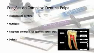 Funções do Complexo Dentina-Polpa
• Produção de dentina;
• Nutrição;
• Resposta dolorosa aos agentes agressores;
• Defesa.
 