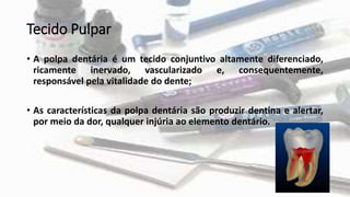 Tecido Pulpar
• A polpa dentária é um tecido conjuntivo altamente diferenciado,
ricamente inervado, vascularizado e, consequentemente,
responsável pela vitalidade do dente;
• As características da polpa dentária são produzir dentina e alertar,
por meio da dor, qualquer injúria ao elemento dentário.
 