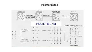 Polimerização
 