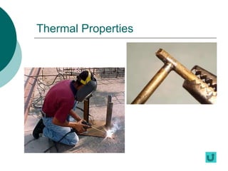 Thermal Properties
 