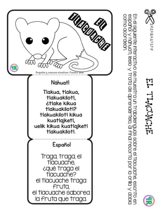ELTLACUACHE
Enelsiguienteinteractivosemuestrauntrabalenguassobreeltlacuache,escritoen
españolynáhuatl,léeloytratadeaprendértelo,alfinalrecortaporlaorillaydobla
comoacordeón.
Traga, traga, el
tlacuache,
¿qué traga el
tlacuache?
el tlacuache traga
fruta,
el tlacuache saborea
la fruta que traga.
Tlakua, tlakua,
tlakuakilotl,
¿tlake kikua
tlakuakilotl?
tlakuakilotl kikua
kuatlajketl,
uelik kikua kuatlajketl
tlakuakilotl.
Náhuatl
Español
 