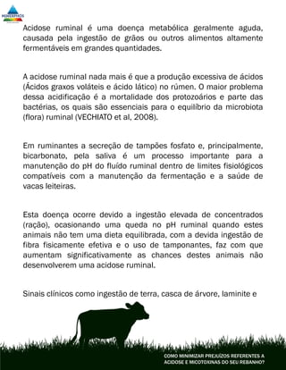 Acidose ruminal é uma doença metabólica geralmente aguda,
causada pela ingestão de grãos ou outros alimentos altamente
fermentáveis em grandes quantidades.
A acidose ruminal nada mais é que a produção excessiva de ácidos
(Ácidos graxos voláteis e ácido lático) no rúmen. O maior problema
dessa acidificação é a mortalidade dos protozoários e parte das
bactérias, os quais são essenciais para o equilíbrio da microbiota
(flora) ruminal (VECHIATO et al, 2008).
Em ruminantes a secreção de tampões fosfato e, principalmente,
bicarbonato, pela saliva é um processo importante para a
manutenção do pH do fluído ruminal dentro de limites fisiológicos
compatíveis com a manutenção da fermentação e a saúde de
vacas leiteiras.
Esta doença ocorre devido a ingestão elevada de concentrados
(ração), ocasionando uma queda no pH ruminal quando estes
animais não tem uma dieta equilibrada, com a devida ingestão de
fibra fisicamente efetiva e o uso de tamponantes, faz com que
aumentam significativamente as chances destes animais não
desenvolverem uma acidose ruminal.
Sinais clínicos como ingestão de terra, casca de árvore, laminite e
COMO MINIMIZAR PREJUÍZOS REFERENTES A
ACIDOSE E MICOTOXINAS DO SEU REBANHO?
 