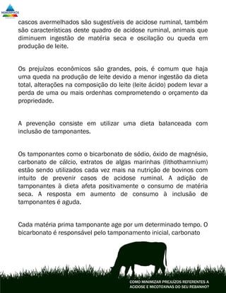 COMO MINIMIZAR PREJUÍZOS REFERENTES A
ACIDOSE E MICOTOXINAS DO SEU REBANHO?
cascos avermelhados são sugestíveis de acidose ruminal, também
são características deste quadro de acidose ruminal, animais que
diminuem ingestão de matéria seca e oscilação ou queda em
produção de leite.
Os prejuízos econômicos são grandes, pois, é comum que haja
uma queda na produção de leite devido a menor ingestão da dieta
total, alterações na composição do leite (leite ácido) podem levar a
perda de uma ou mais ordenhas comprometendo o orçamento da
propriedade.
A prevenção consiste em utilizar uma dieta balanceada com
inclusão de tamponantes.
Os tamponantes como o bicarbonato de sódio, óxido de magnésio,
carbonato de cálcio, extratos de algas marinhas (lithothamnium)
estão sendo utilizados cada vez mais na nutrição de bovinos com
intuito de prevenir casos de acidose ruminal. A adição de
tamponantes à dieta afeta positivamente o consumo de matéria
seca. A resposta em aumento de consumo à inclusão de
tamponantes é aguda.
Cada matéria prima tamponante age por um determinado tempo. O
bicarbonato é responsável pelo tamponamento inicial, carbonato
 