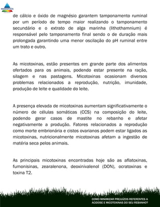 de cálcio e óxido de magnésio garantem tamponamento ruminal
por um período de tempo maior realizando o tamponamento
secundário e o extrato de alga marinha (lithothamnium) é
responsável pelo tamponamento final sendo o de duração mais
prolongada garantindo uma menor oscilação do pH ruminal entre
um trato e outro.
As micotoxinas, estão presentes em grande parte dos alimentos
ofertados para os animais, podendo estar presente na ração,
silagem e nas pastagens. Micotoxinas ocasionam diversos
problemas relacionados a reprodução, nutrição, imunidade,
produção de leite e qualidade do leite.
A presença elevada de micotoxinas aumentam significativamente o
número de células somáticas (CCS) na composição do leite,
podendo gerar casos de mastite no rebanho e afetar
negativamente a produção. Fatores relacionados a reprodução
como morte embrionária e cistos ovarianos podem estar ligados as
micotoxinas, nutricionalmente micotoxinas afetam a ingestão de
matéria seca pelos animais.
As principais micotoxinas encontradas hoje são as aflatoxinas,
fumonisinas, zearalenona, deoxinivalenol (DON), ocratoxinas e
toxina T2.
COMO MINIMIZAR PREJUÍZOS REFERENTES A
ACIDOSE E MICOTOXINAS DO SEU REBANHO?
 