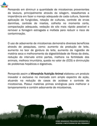 Pensando em diminuir a quantidade de micotoxinas provenientes
da lavoura, principalmente através da silagem, ressaltamos a
importância em fazer o manejo adequado de cada cultura, fazendo
aplicação de fungicidas, rotação de culturas, controle de ervas
daninhas, controle de insetos, colheita no momento certo,
compactação adequada, vedação do silo mais rápido possível e
remover a forragem estragada e mofada para reduzir o risco de
contaminação.
O uso de adsorvente de micotoxinas demonstra diversos benefícios
através de pesquisas, como: aumento da produção de leite,
aumento no teor de gordura do leite, aumento da ingestão de
matéria seca e melhoramento da digestibilidade de fibras da dieta,
redução do intervalo entre partos, melhora na fertilidade dos
animais, melhora imunitária, queda no valor de (CCS) e diminuição
de problemas hepáticos e digestivos.
Pensando assim a Minerphós Nutrição Animal elaborou um produto
inovador e exclusivo no mercado com amplo espectro de ação,
atuando na redução de casos de acidose e controle de
micotoxinas. Possui matérias primas sinérgicas para melhorar o
tamponamento e contém adsorvente de micotoxinas.
COMO MINIMIZAR PREJUÍZOS REFERENTES A
ACIDOSE E MICOTOXINAS DO SEU REBANHO?
 