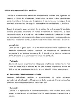 4.1Aberraciones cromosómicas numéricas
Consiste en la alteración del numero total de cromosomas existentes en el organismo, por
ganancia o pérdida las aberraciones cromosómicas numéricas ocurren, generalmente,
porno disyunción, es decir, ausencia deseparación de los cromosomas homólogoso de las
cromáticas hermanas.Esta falla se puede presentartanto en la mitosis como en la meiosis.
Cuando la disyunción ocurre enmeiosis (en la anafase I o en la anafase II), las células
sexuales producidas puedentener un número menormayor de cromosomas. Si estos
gametosdan origen a un nuevo ser, suconstitución cromosómica tendrámás o menos
cromosomas que los individuos normales. Los cromosomasganados o perdidos pueden ser
autosomaso heterocromo somas.Las aberraciones cromosómicas numéricasse dividen en:
•Aneuploidía:
Ocurre cuando se ganao pierde uno o más cromosomasindividuales. Dependiendo del
númerode cromosomas ganados operdidos, las aneuploidías se puedenllamar:
monosomía si se pierdeun cromosoma (2n-1), trisomía si se gana un cromosoma
(2n+1), tetrasomía si se ganan dos cromosomas más (2n+2), etc.
• Poliploidía:
Se presenta cuando se ganan uno o más juegos completos de cromosomas. Es más
común en plantas que en animales. En los seres humanos, la poliploidía es letal, es
decir, el feto que presenta esta aberración, no logra sobrevivir y muere antes de nacer.
4.2 Aberraciones cromosómicas estructurales:
Involucran duplicaciones, pérdidas o reordenamientos de ciertos segmentos
cromosómicos, y la alteración del funcionamiento de los genes que allí se encuentran. Las
principales aberraciones cromosómicas estructurales son:
• Duplicación:
Consiste en la repetición de un segmento cromosómico, como resultado de un evento
erróneo de replicación o de otras alteraciones del entrecruzamiento ocurrido durante la
meiosis.
 