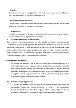 • Deleción:
Consiste en la ruptura de un segmento cromosómico, que conduce a la pérdida de un
trozo del cromosoma y de los genes contenidos en él.
• Reordenamiento cromosómico:
Corresponde al cambio de sentido de un segmento cromosómico en 180°. Se le conoce
también con el nombre de inversión cromosómica.
• Translocación:
Inversión cromosómica, en la que un segmento del cromosoma se mueve desde su
posición normal hacia un cromosoma no homólogo.
5. Enfermedades genéticas en humanos:
Este concepto médico suele asociarse con enfermedades complejas y síntomas severos.
La alteración genérica puede provocar directamente la enfermedad o hacer al individuo
susceptible de padecerla. En este último caso, se puede afirmar que cada individuo posee
cierta predisposición, determinada genéticamente, para ser más o menos vulnerable a
ciertas enfermedades. Las enfermedades genéticas en humanos pueden ser de dos tipos:
Enfermedades monogenicas y enfermedades poligenicas
5.1Enfermedades monogeticas:
Se originan por la alteración de un solo gen. Cuando el gen alterado es recesivo, la
enfermedad se presenta exclusivamente en los individuos homocigotos para dicho
gen. Cuando el gen alterado es dominante, la enfermedad se expresa tanto en
individuos homocigotos como heterocigotos para dicho gen. Algunas enfermedades
monogénicas son las siguientes: Anemia falciforme, fenilcetonuria, fibrosis quística,
Corea de Huntington, hipercolesterolemia familiar
5.2 Enfermedades poligeneticas:
Se originan por la alteración de varios genes ubicados en distintos cromosomas. Se
caracterizan porque sus efectos fenotípicos se suman, y son influenciados
fuertemente por factores ambientales. Algunas enfermedades poligénicas son las
siguientes: diabetes tipo 2, hipertensión arterial, malformaciones congénitas.
 