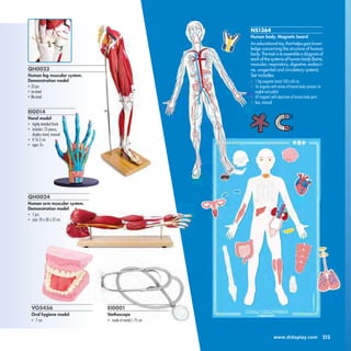 QH0023
Human leg muscular system.
Demonstration model
• 23pcs
• onstand
• lifesized
EI0001
Stethoscope
• made of metal; L ...