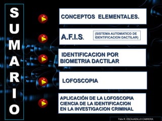 S   CONCEPTOS ELEMENTALES.

U   A.F.I.S.
                 (SISTEMA AUTOMATICO DE



M
                 IDENTIFICACION DACTILAR)




A
    IDENTIFICACION POR
    BIOMETRIA DACTILAR


R   LOFOSCOPIA

I   APLICACIÓN DE LA LOFOSCOPIA


O
    CIENCIA DE LA IDENTIFICACION
    EN LA INVESTIGACION CRIMINAL

                             Félix R. ESCAJADILLO CABRERA
 