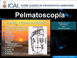 Pelmatoscopía
              DERECHO A LA
                IDENTIDAD
                   DEL
              RECIEN NACIDO




          Félix Roger ESCAJADILLO CABRERA
 