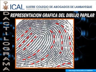 Félix Roger ESCAJADILLO CABRERA
  Félix R. ESCAJADILLO CABRERA
 