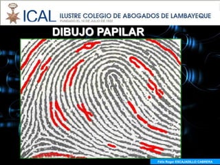 DIBUJO PAPILAR




                 Félix Roger ESCAJADILLO CABRERA
                   Félix R. ESCAJADILLO CABRERA
 