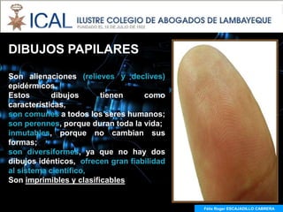 DIBUJOS PAPILARES

Son alienaciones (relieves y declives)
epidérmicos.
Estos       dibujos      tienen     como
características,
son comunes a todos los seres humanos;
son perennes, porque duran toda la vida;
inmutables, porque no cambian sus
formas;
son diversiformes, ya que no hay dos
dibujos idénticos, ofrecen gran fiabilidad
al sistema científico,
Son imprimibles y clasificables


                                             Félix Roger ESCAJADILLO CABRERA
 