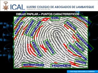 OJAL




MICROFORMA   FRAGMENTO
                     Félix Roger ESCAJADILLO CABRERA
                       Félix R. ESCAJADILLO CABRERA
 