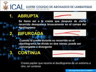 1.   ABRUPTA
     Se llama así a la cresta que después de cierto
     recorrido desaparece bruscamente en el campo del
     dactilograma

2.   BIFURCADA
     Cuando la cresta durante su recorrido en el
     dactilograma, se divide en dos ramas; puede ser
     convergente o divergente

3.   CONTINUA

      Cresta papilar que recorre el dactilograma de un extremo a
      otro, sin cortarse
                                             Félix Roger ESCAJADILLO CABRERA
 
