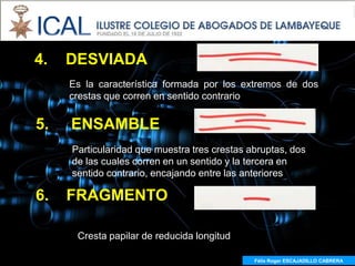 4.   DESVIADA
     Es la característica formada por los extremos de dos
     crestas que corren en sentido contrario


5.   ENSAMBLE
     Particularidad que muestra tres crestas abruptas, dos
     de las cuales corren en un sentido y la tercera en
     sentido contrario, encajando entre las anteriores

6.   FRAGMENTO

      Cresta papilar de reducida longitud

                                              Félix Roger ESCAJADILLO CABRERA
 