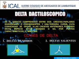 ES EL ESPACIO COMPRENDIDO ENTRE DOS CRESTAS PAPILARES
 DIVERGENTES O CONVERGENTES Y UNA TERCERA CURVA, CUYA
 CONVEXIDAD SE OPONE A LAS CRESTAS ANTERIORES, PUDIENDO
 DICHO  ESPACIO   ESTAR   INVADIDO O NO,  POR    PUNTOS
 CARACTERISTICOS O MINUCIAS.

               CLASES DE DELTA
1. DELTAS HUNDIDOS              2. DELTAS SALIENTES




                                         Félix Roger ESCAJADILLO CABRERA
 