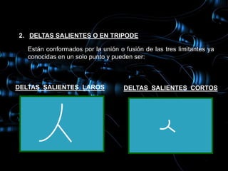 2. DELTAS SALIENTES O EN TRIPODE

   Están conformados por la unión o fusión de las tres limitantes ya
   conocidas en un solo punto y pueden ser:



DELTAS SALIENTES LAROS              DELTAS SALIENTES CORTOS
 
