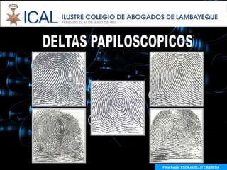 Félix Roger ESCAJADILLO CABRERA
  Félix R. ESCAJADILLO CABRERA
 