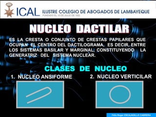 ES LA CRESTA O CONJUNTO DE CRESTAS PAPILARES QUE
OCUPAN EL CENTRO DEL DACTILOGRAMA, ES DECIR, ENTRE
LOS SISTEMAS BASILAR Y MARGINAL, CONSTITUYENDO LA
GENERATRIZ DEL SISTEMA NUCLEAR.


            CLASES DE NUCLEO
1. NUCLEO ANSIFORME          2. NUCLEO VERTICILAR




                                     Félix Roger ESCAJADILLO CABRERA
 