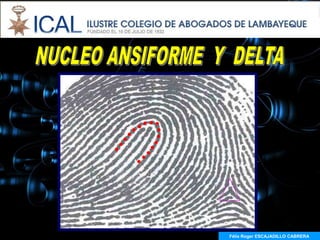 Félix Roger ESCAJADILLO CABRERA
  Félix R. ESCAJADILLO CABRERA
 