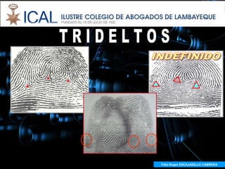 Félix Roger ESCAJADILLO CABRERA
  Félix R. ESCAJADILLO CABRERA
 