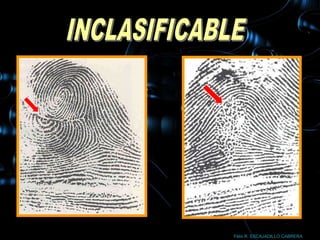 Félix R. ESCAJADILLO CABRERA
 