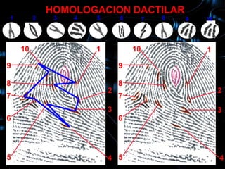 HOMOLOGACION DACTILAR
1        2    3   4   5       6        7   8   9   10
     10           1                                1

    10                1           10               1

9                             9

8                             8
                          2                             2
7                             7
                          3                             3
6                             6




5                         4 5                           4
 
