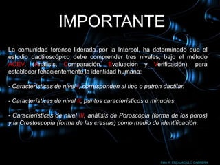 IMPORTANTE
La comunidad forense liderada por la Interpol, ha determinado que el
estudio dactiloscópico debe comprender tres niveles, bajo el método
ACEV, (Análisis, Comparación, Evaluación y Verificación), para
establecer fehacientemente la identidad humana:

- Características de nivel I, corresponden al tipo o patrón dactilar.

- Características de nivel II, puntos característicos o minucias.

- Características de nivel III, análisis de Poroscopia (forma de los poros)
y la Crestoscopia (forma de las crestas) como medio de identificación.




                                                           Félix R. ESCAJADILLO CABRERA
 